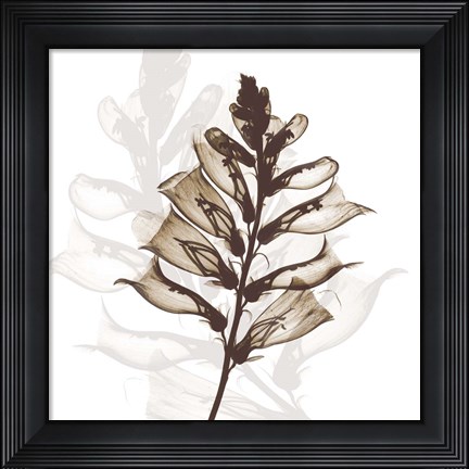 Framed Foxglove Dance Print