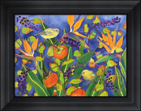 Framed Amakihi Delight Print