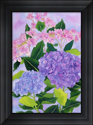 Framed Hydrangea Wonder Print