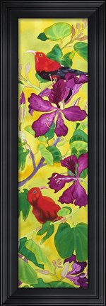 Framed Iiwis in Orchid Tree Print