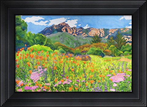 Framed Santa Barbara Botanic Garden Print