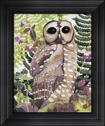 Framed Spotted Owl Print