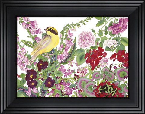 Framed Warbler With Frog Print