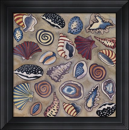 Framed Sea Shells Print