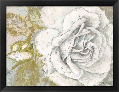 Framed White Rose Blossom Print