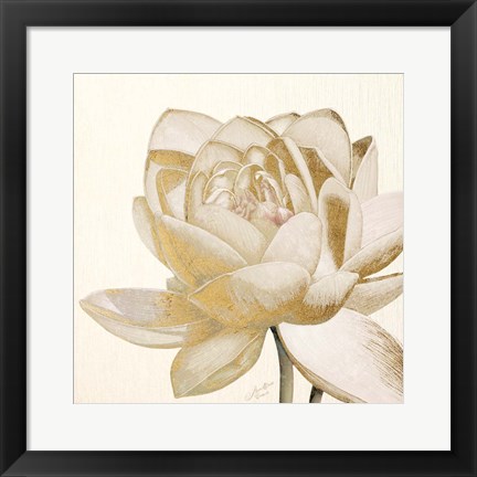 Framed Vintage Lotus Cream II Print