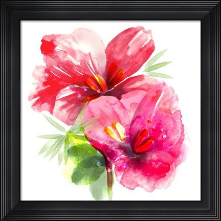 Framed Floral Beauty II Print