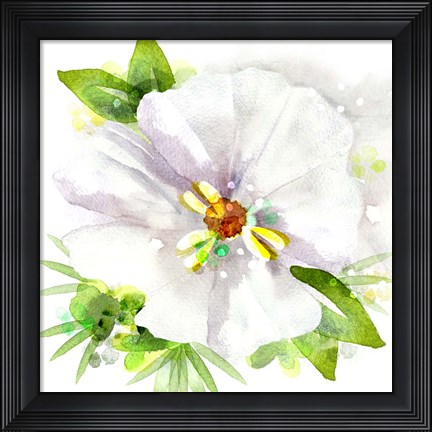 Framed Floral Beauty III Print