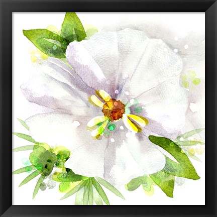 Framed Floral Beauty III Print