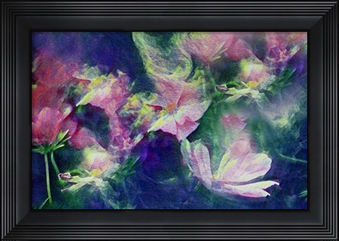Framed Vintage Print