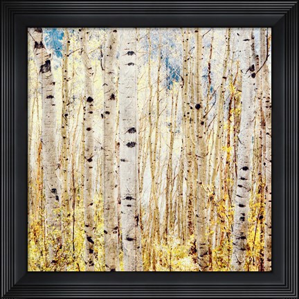 Framed Birch Grove Print