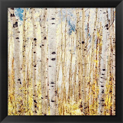 Framed Birch Grove Print