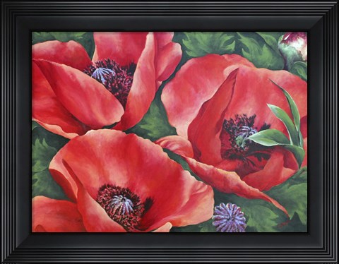 Framed Bright Red Trio Print
