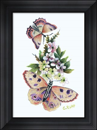 Framed Butterfly in Pink Print