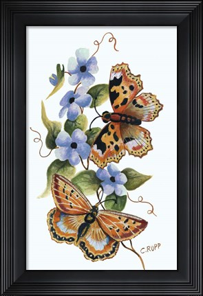 Framed Butterfly on Blue Print