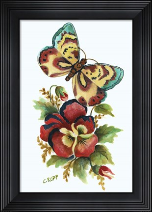Framed Butterfly on Red Pansey Print