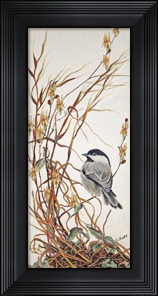 Framed Chickadee in Summer Grass Print