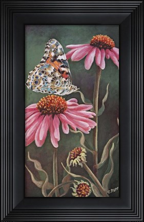 Framed Coneflower with Butterfly Print