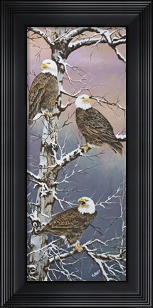 Framed Eagle Trio at Dawn Print