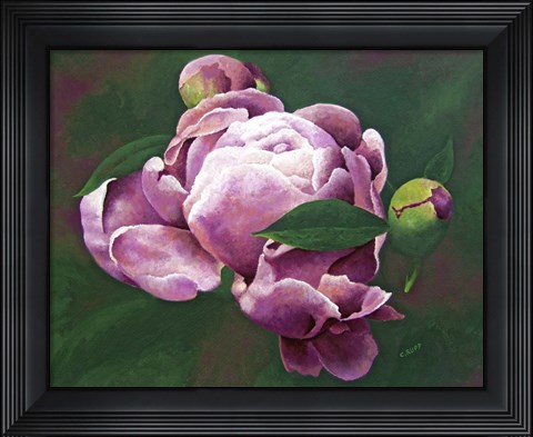 Framed First Bloom Print