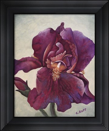 Framed Going Solo Print