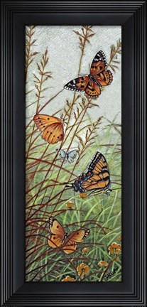 Framed Golden Butterflies Print
