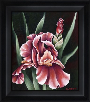 Framed Oh So Red Print