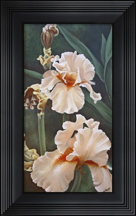 Framed Peach Beauty Print