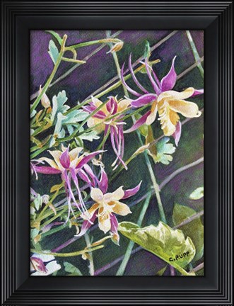 Framed Pink and Gold Columbine Print