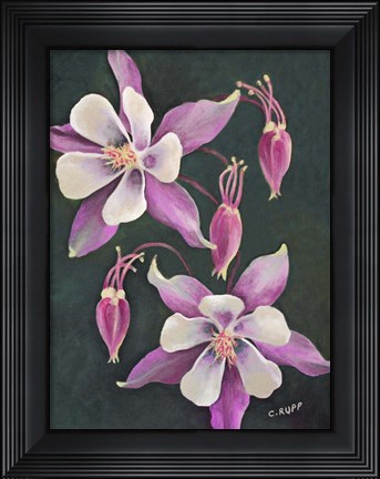 Framed Pink Columbine Print