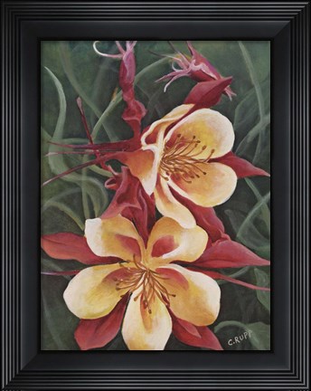 Framed Red and Yellow Columbine Print