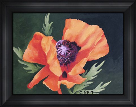 Framed Red Poppy I Print