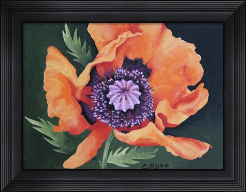 Framed Red Poppy II Print