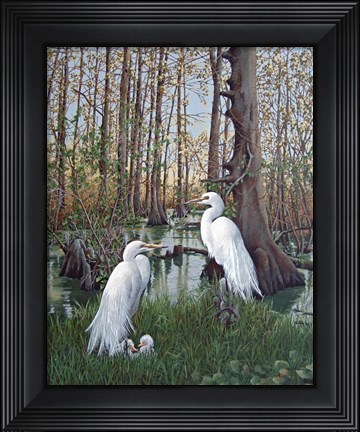 Framed Snowy White Egret Nesting Print