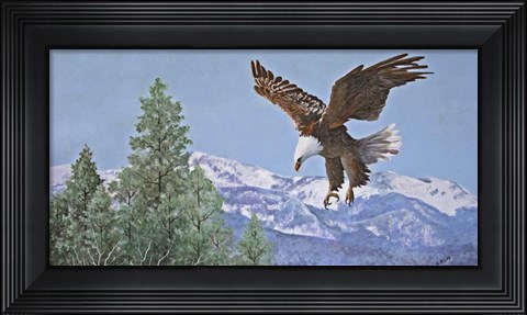 Framed Soaring over Snowy Peaks Print