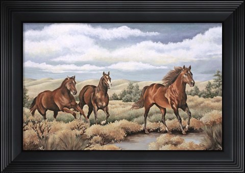 Framed Spirit of the Southwest Print