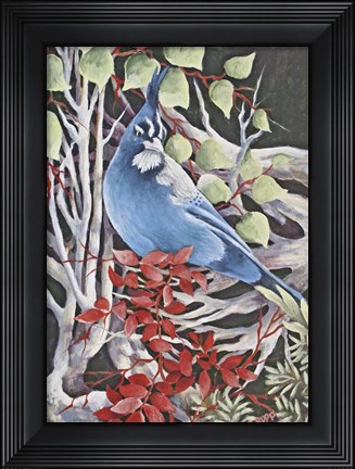Framed Stellar Jay Waiting for Fall Print