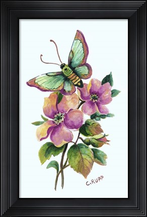 Framed Teal Butterfly Print