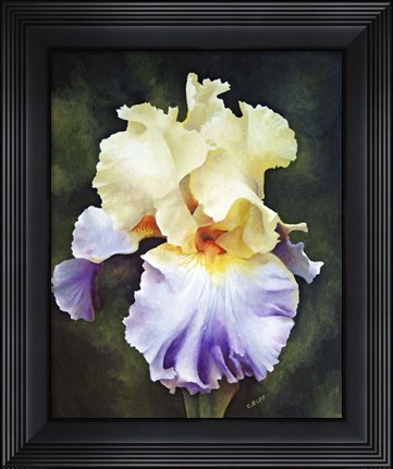 Framed What a Beauty Print