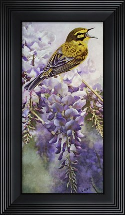 Framed Yellow Bird in Wisteria Print