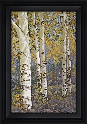 Framed Afternoon Shadows Print