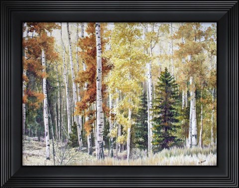 Framed Angel Fire Aspens Print