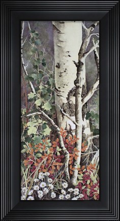Framed Aspen and Daisies Print