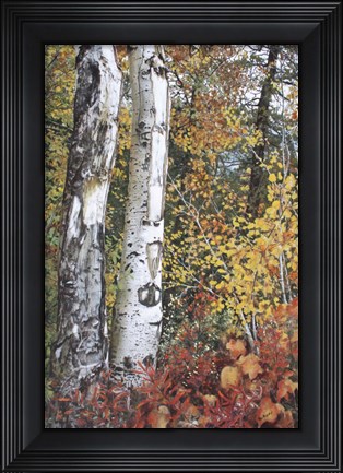 Framed Aspen Duo Print
