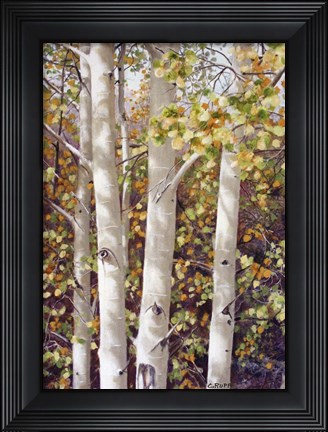 Framed Aspen Quartet Print