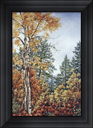 Framed Autumn Splendor Print
