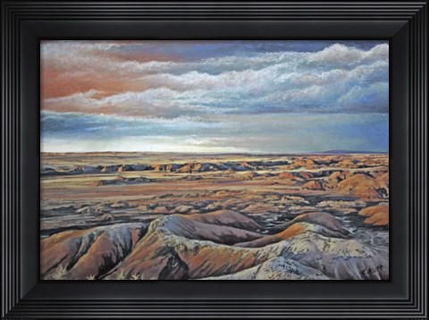 Framed Desert Rain Print