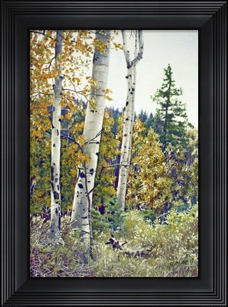 Framed Edge of the Forest Print