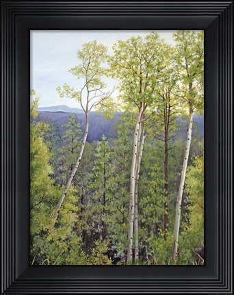 Framed Forest Road Aspen Print