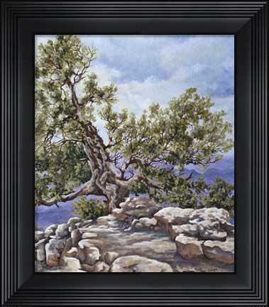 Framed Grand Canyon Rim Print